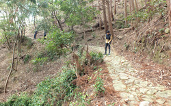 DSCF4344edited.jpg